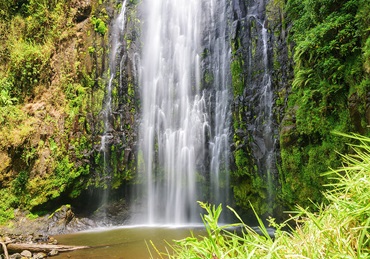 1 Day Materuni Waterfall