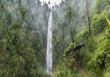 1 Day Materuni Waterfall Tour