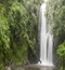 Materuni Waterfall and Coffee