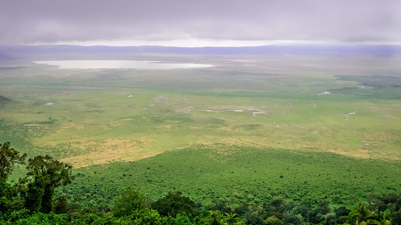 Budget Safari in Tanzania