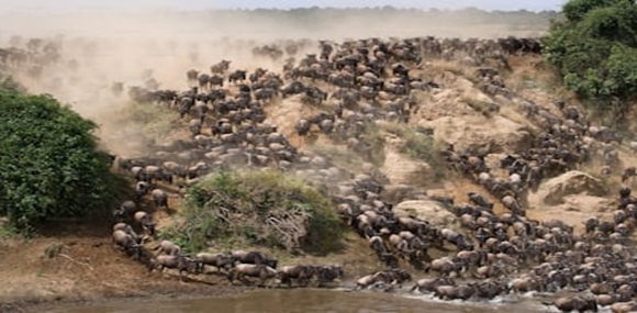 Serengeti National Park